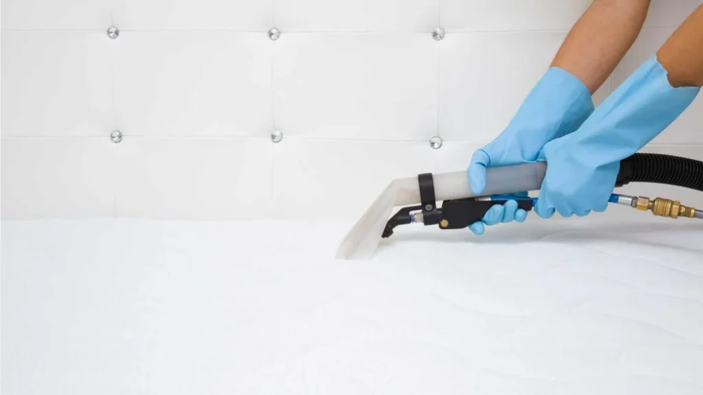 mattress cleaning & sanitization